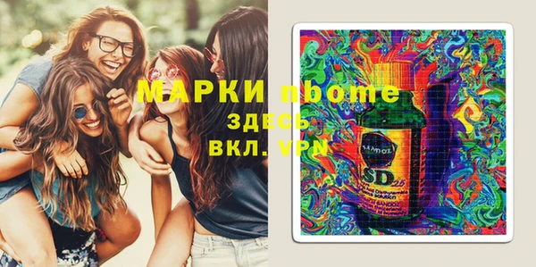 шишки Верхний Тагил