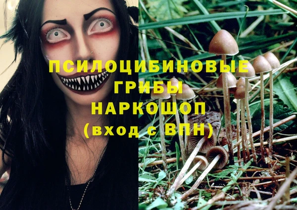 герыч Володарск