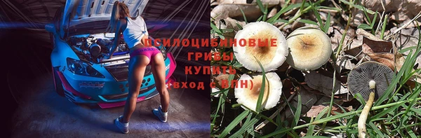 дживик Волоколамск
