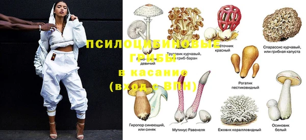 дживик Волоколамск
