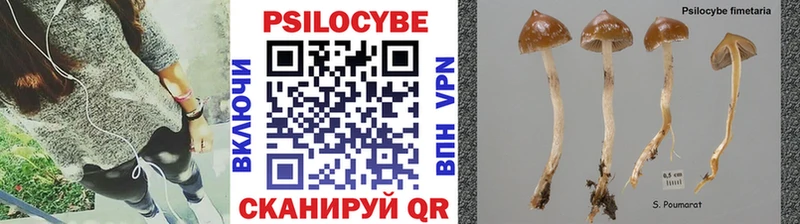 Галлюциногенные грибы Psilocybe  Купить  Макарьев 